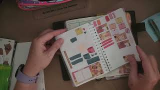 Hobonichi weeks PWM week 47