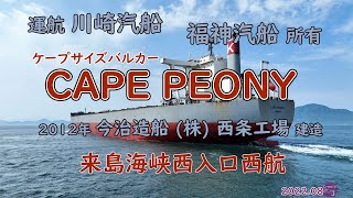 巨大船　今治造船（㈱）西条工場 建造、ケープサイズバルカー  「　 CAPE PEONY　」