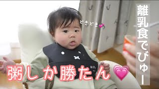 【離乳食】離乳食デビュー！食べたリアクションが可愛すぎる【生後5ヶ月】