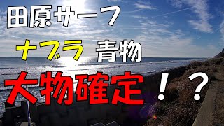 遠州灘サーフ　コノシロがわいてナブラがボコボコに起きている！！青物、ヒラメ釣りあげる事は出来るのか！モンスターショット８０　かっ飛び棒