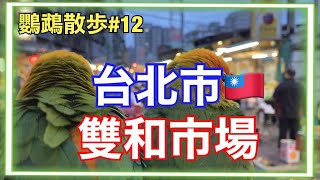 コガネメキシコインコと台灣台北市にある雙和市場に散歩（跟金太陽鸚鵡一起散歩）【鸚鵡散歩】#12