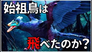 【ゆっくり解説】始祖鳥は飛べたのか？鳥なのか？