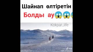 Түйе атты шайнап өлтірді 😱😱🐴🇰🇿🇰🇬 #кокпар #түйе #казакстан