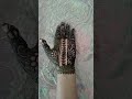 easy front hand mahendi design viralvideoshorts easymehndidesign mehndi