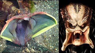 10 जानवर जिनका जबड़ा देखकर डर जाओगे // 10 Animals With Largest Mouth | Watch In हिंदी