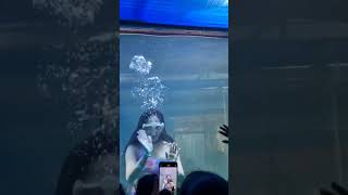 Kashmir jalakanya expo 2025 Vijayawada #kashmir #exhibition #mermaid #viralvideo #hafivlogs