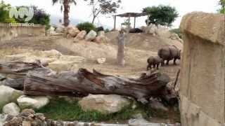 Terra Natura - Alicante