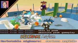 The "Serious" Asylum Experience