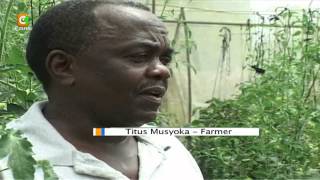 Smart Farm: Kitui County Farming