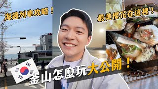 釜山圓夢之旅！終於搭上海上列車！滿滿櫻花海超美超好拍！｜阿侖 Alun