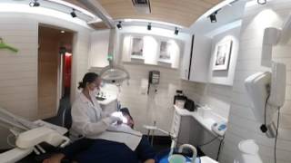 EL DENTISTA - Randy Scott Slavin 360