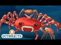 @Octonauts - The Spider Crab | Full Episode 45 | Cartoons for Kids | Underwater Sea Education