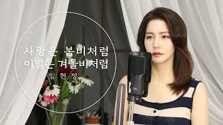 [Rainy Day #2] 사랑은 봄비처럼 이별은 겨울비처럼 - 임현정 (Vocal Covered By Olivia)