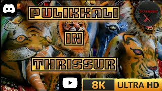 pulikkali in thrissur in 8K 2024