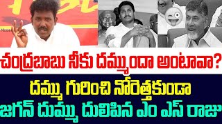 దమ్ము గురించి నోరెత్తకుండా జగన్ దుమ్ము దులిపిన ఎం ఎస్ రాజు | Tdp Leader Ms Raju Fire On Ys Jagan |