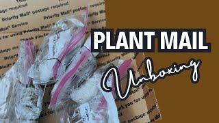 unboxing carnivorous plants from the exotic botanist