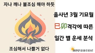 을사년 기묘월 운세, 사묘격각에 대하여, 일간별 운세