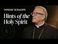 Hints Of The Holy Spirit - Bishop Barron's Sunday Sermon