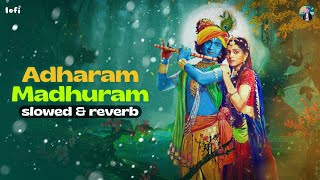 Adharam Madhuram Lofi (Slowed & Reverb) | Madhurashtakam | Shri Krishna Bhajan Song