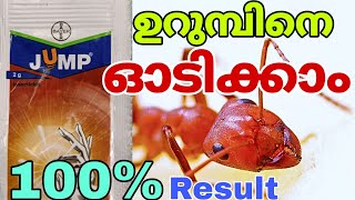 ഉറുമ്പിനെ ഓടിക്കാൻ ഒരു കിടിലൻ മരുന്ന് -JUMP. ഇത്  Spray ചെയ്താൽ 6 മാസത്തേക്ക് പേടിക്കേണ്ട|R\u0026B MEDIA