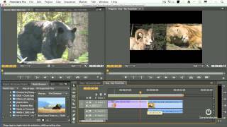 AP03 06 to Editing in Adobe Premiere Pro CS6 - Trim