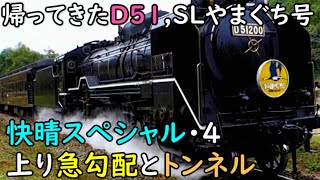 帰ってきたD51 SLやまぐち号, 上り急勾配とトンネル, 快晴スペシャル4, 2021/11/7