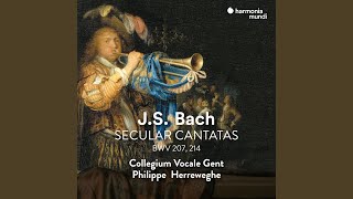 Vereinigte Zwietracht der wechselnden Saiten, BWV 207: VIII. Recitativo \