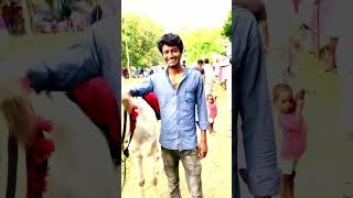 সাদা গৌরা #youtubeshorts #shorts #youtube #trending #youtuber