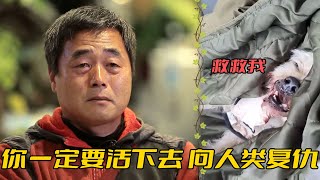 “希望那些拋棄小狗的人，最後都不得好死”