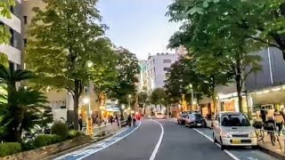 Tokyo city walk from  Funabori  to Nishikasai（October2020）//東京散歩-船堀駅から 西葛西駅まで