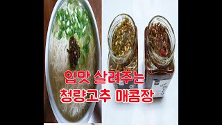 음식맛을 확 살려주는 청양고추 매콤장~ 맛있어서 자꾸 사게되는 만능양념장