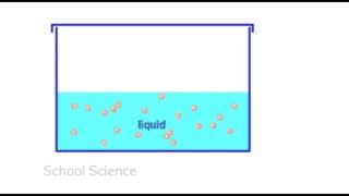 Molecules moving in a liquid