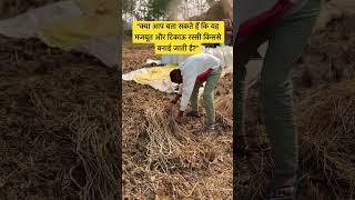 क्या आप बता सकते हैं कि यह मजबूत और टिकाऊ रस्सी किससे बनाई जाती है? #farming #farminglife #video #yt