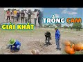 Hàng Loạt Những Cây Ăn Quả Được Mang Về Nông Trại || Team Huyền Thoại.