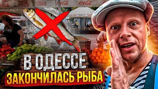 Odessa No fish!! When Will Fish Appear in the Bazaar? Firsthand news!!