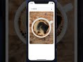 Animated Search View in React Native
