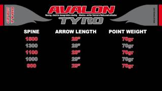 AVALON Tyro Arrow