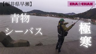 12月17日【福井県早瀬】極寒の日本海で釣りしてみたら…