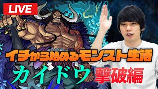 【モンストLIVE配信】1から始めるモンスト生活｜カイドウ超究極攻略！！｜ワンピースコラボ特別編【しろ】