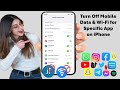 How to Turn Off Mobile Data & WiFi for a Specific App on iPhone