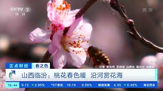 [正点财经]春之色 陕西终南山：日出云海 气壮山河|CCTV财经