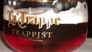 La Trappe Quadrupel - First Quadrupel of the world ever!How to pour it in?