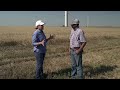 wheat harvest 2024 garfield county oklahoma