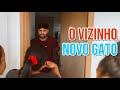 O VIZINHO | Rxpow