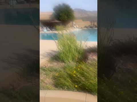 Pool Vlog Youtube