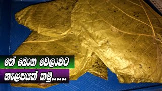 Halapa Recipe By Village Kitchen | Sri Lankan Foods ලේසිම විදිහට හැලප හදමුද? තුන පහ Thuna Paha