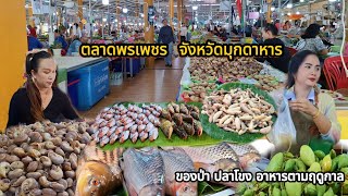 ตลาดพรเพชร จังหวัดมุกดาหาร ของป่า หอยเดื่อ ปลาโขง #ของป่า #ปลาโขง #อาหารตามฤดูกาล