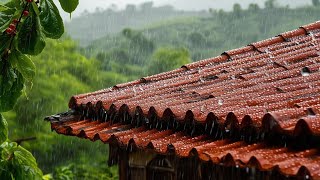 窓の外から激しい雨の音 - 居心地の良い寝室空間 |雨の音は睡眠障害を治す