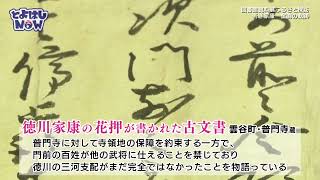 とよはしNOW　令和5年2月7日号　図書館資料展ふるさと探訪　若き家康　奮闘の軌跡　豊橋市新型コロナ通知システムサービス終了のお知らせ