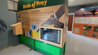 Adler Display Creates an Indoor Nature Exhibit for Delaware DNREC